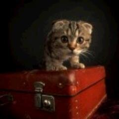 Klimova_'s profile picture. Экспедитор на дальних поездках