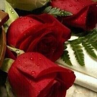 عشريني نحيف الـقصيـم (@12s11) Twitter profile photo