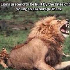 propulsion5's profile picture. 부산/뮤직/woofer sound/포르쉐/#을유일주#계묘월주