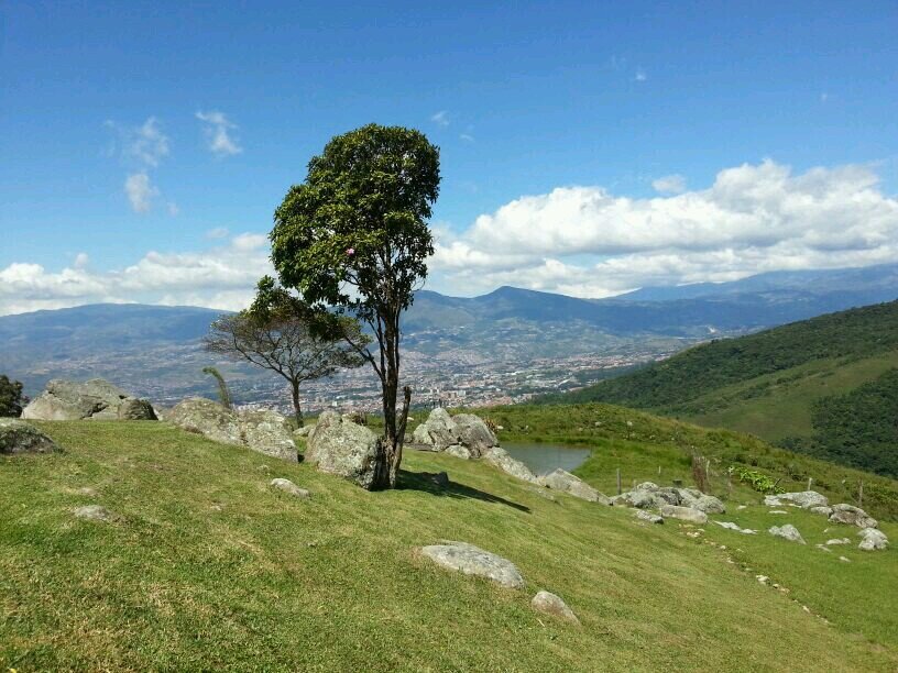 Se aprende hasta el último dia de la vida.
Anticomunista.
Los niños son de Dios y no se tocan.
🚫No DM🚫