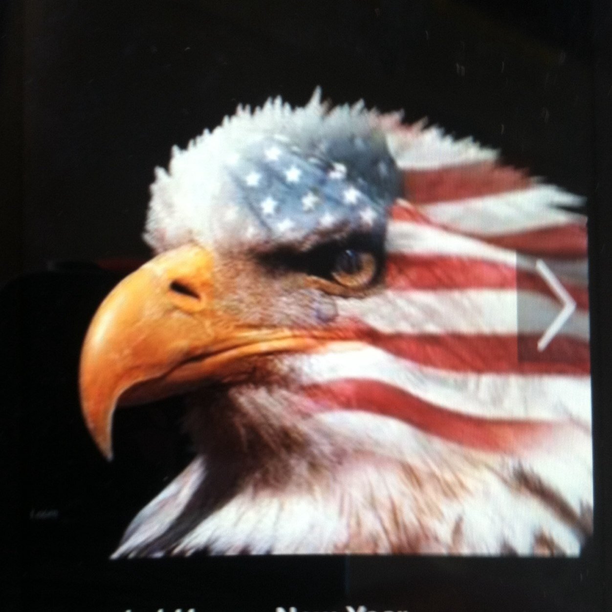 God fearing,hard working ,RED blooded American.I will take care of my family and you take of yours,thats how its meant to be. #patriot #conservative #vets #ccot