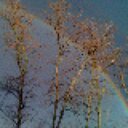 alejandro garnica - @alegarnica78 - Twitter