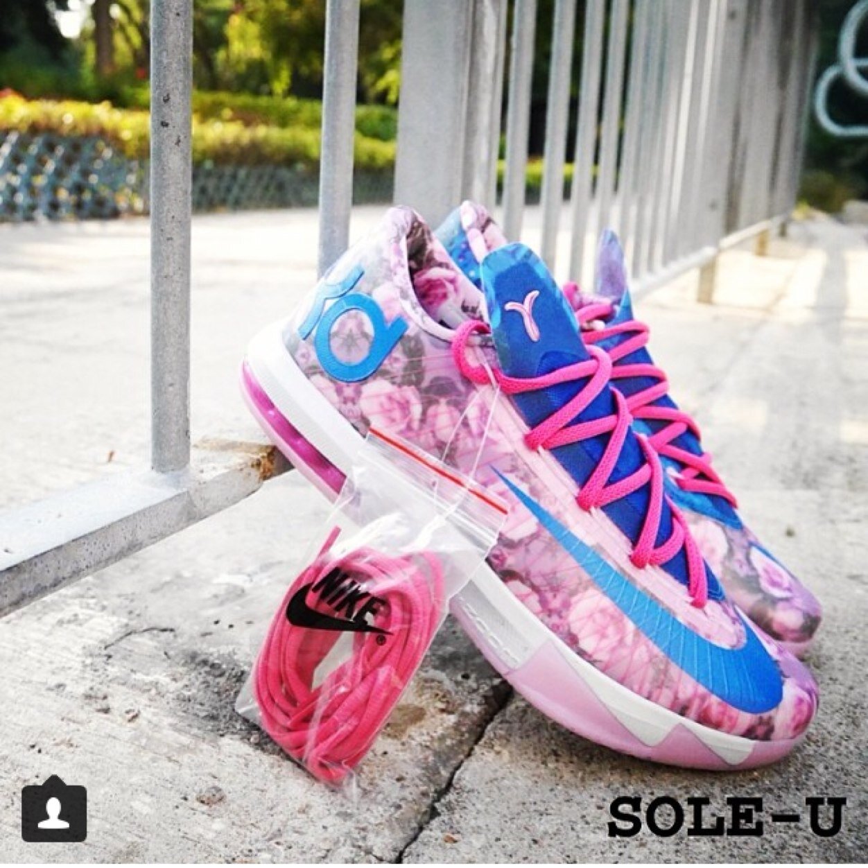 Sebasti56190976's profile picture. I fly high in the sky because no one will ever bring me to #sneakerhead