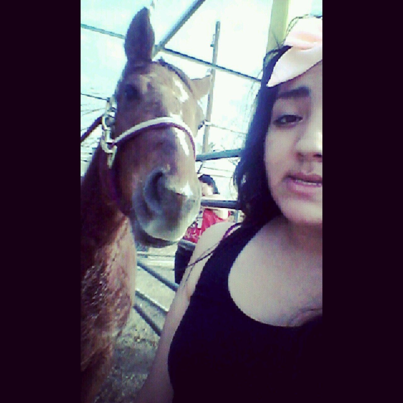 Horse♥ , Nortenas ♡, cowboys♥