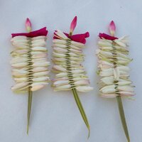 aycin (@aycinkarol) Twitter profile photo