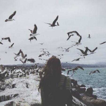 Girl / Ugly & Fat / Worthless. I have Tumblr (ask me if you want it). If you wanna talk, I'm here for you, I'll listen and try to help you.