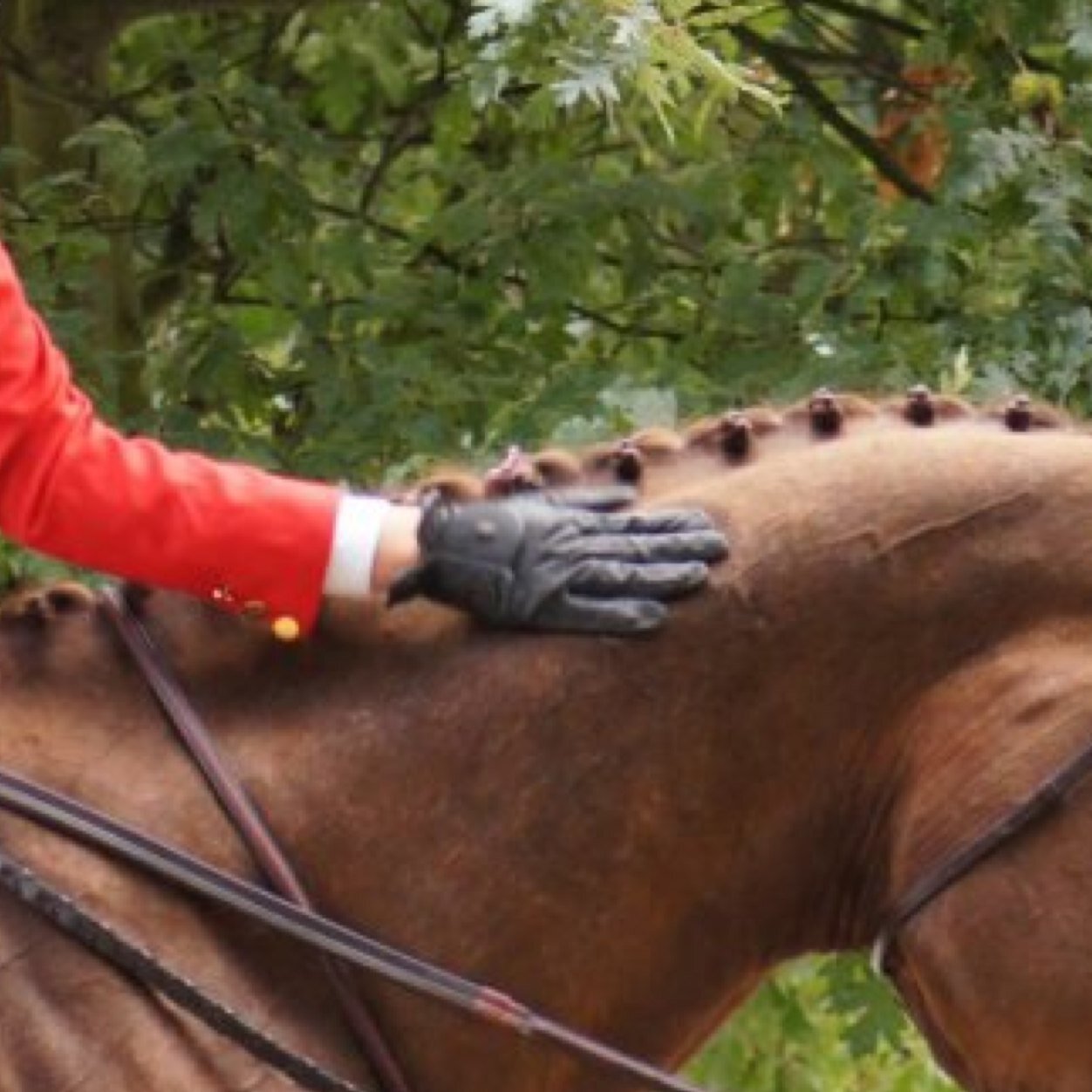 Typical Equestrian that always has Starbucks in Zone 1