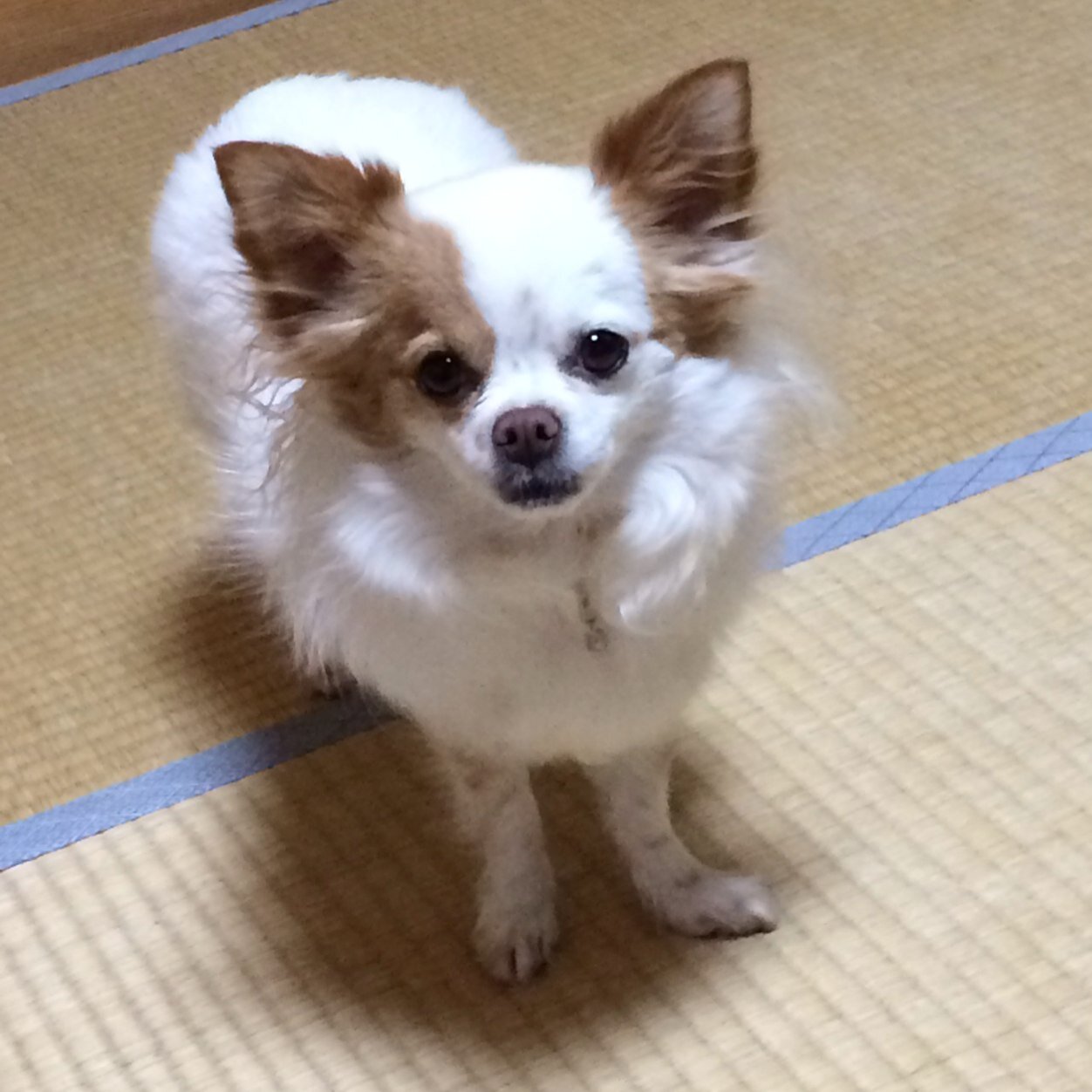SCA垢☆バンヤロ➡︎城ホ➡︎横アリ