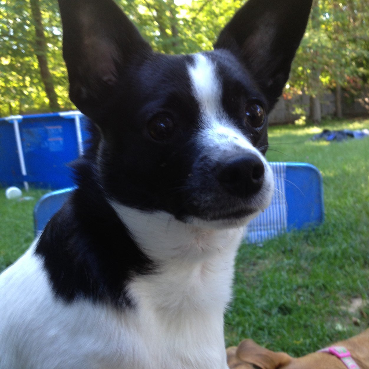 yllus99's profile picture. 