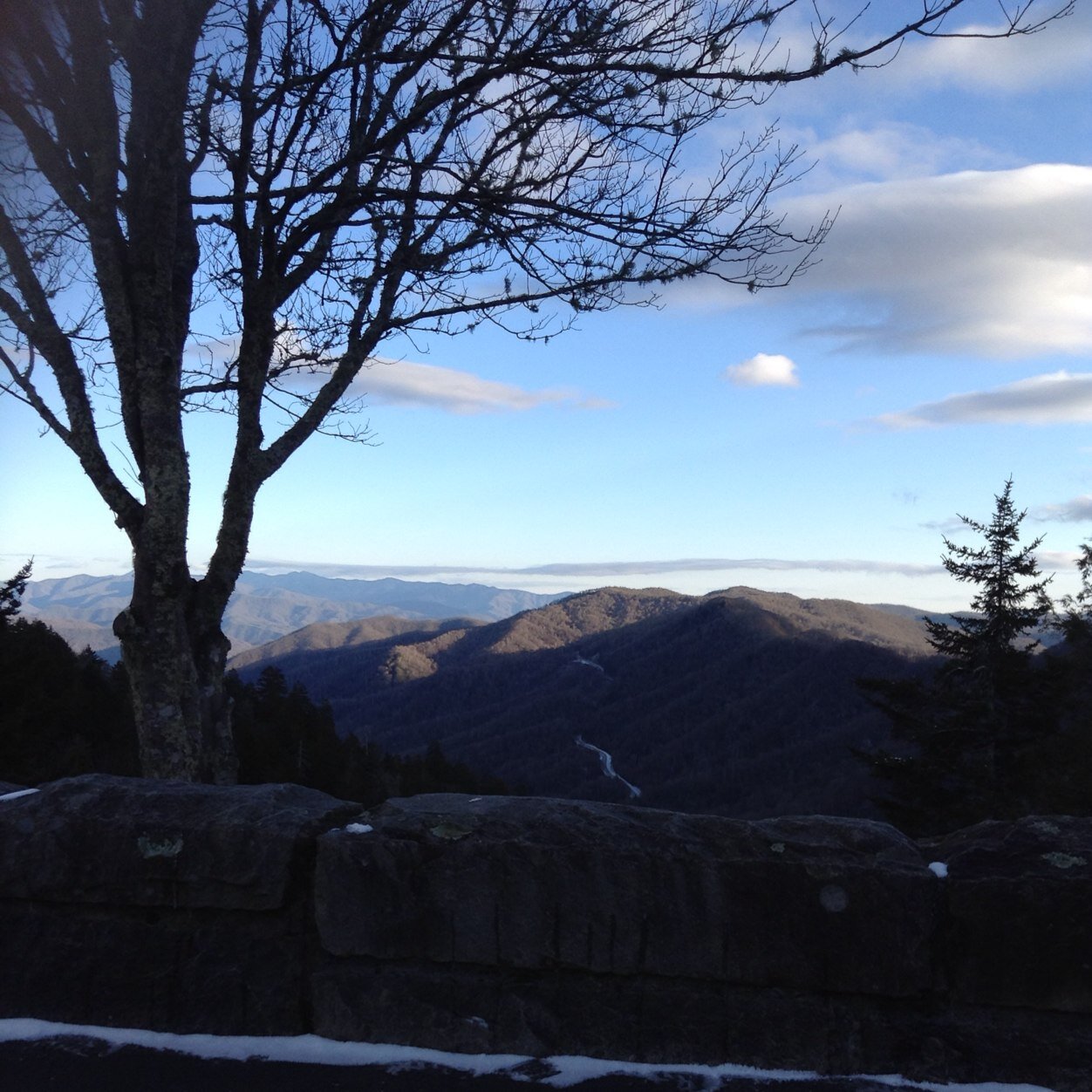 Dcmorgan_96's profile picture. 