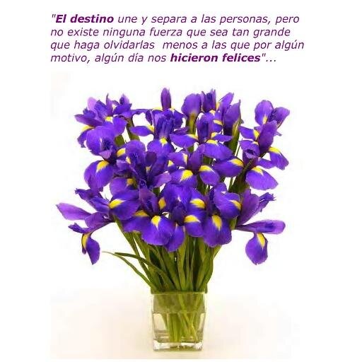 camimar2012's profile picture. ¡La Justicia no siempre va de la mano del Derecho¡