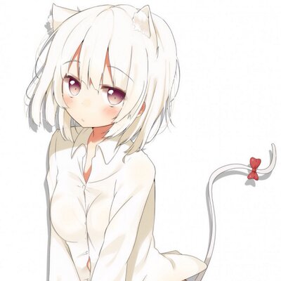 獣耳画像bot 506 Blackcat Twitter 獣耳画像bot 506 Blackcat Twitter