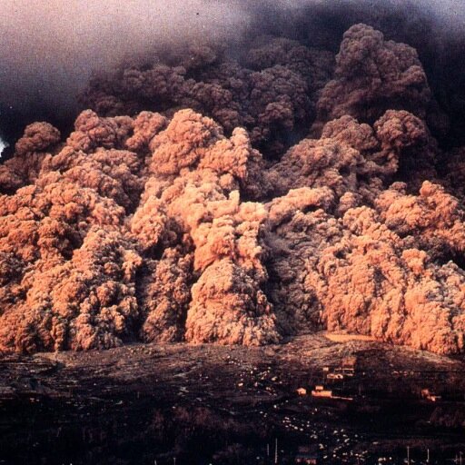 Lucaandme's profile picture. 