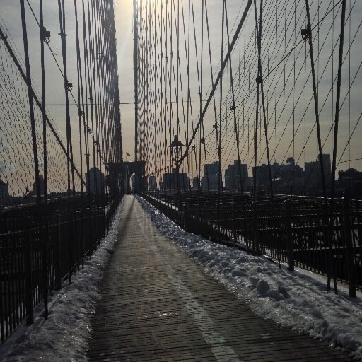 bRooKlYnBREEDGE's profile picture. Lovin life on the East River. In a relationship with @ManhattanBridge since 12/31/1909 .