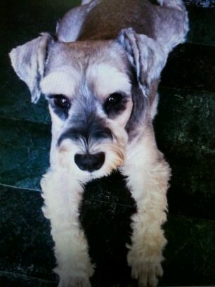 PAN_PEI_CHUNG's profile picture. 台湾、台北