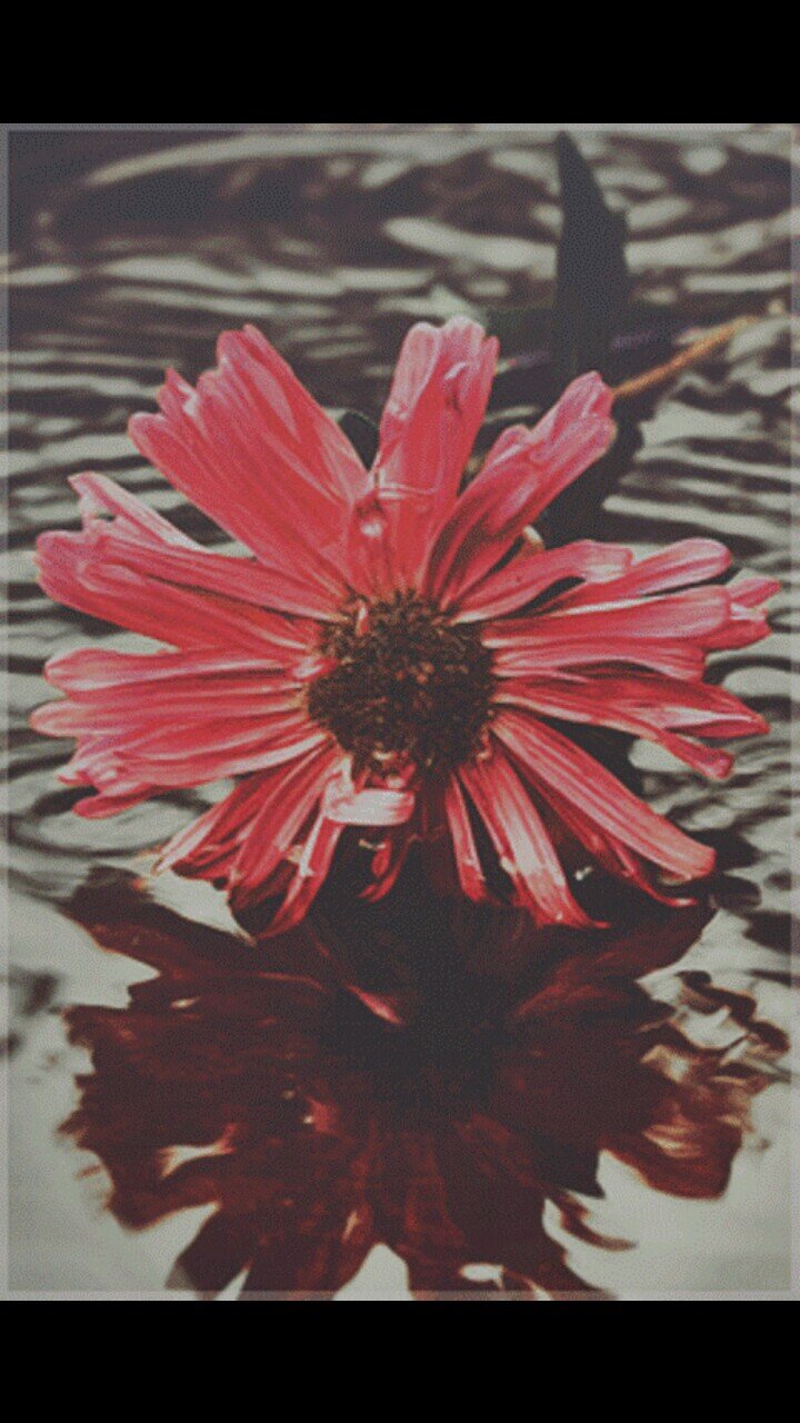 استغفر الله واتوب اليه ●●♥