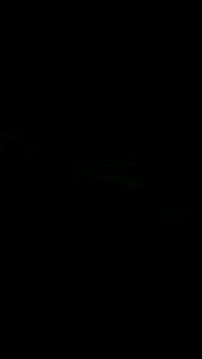 AM_Treeo_clock's profile picture. 