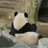 EzPandazki's profile image