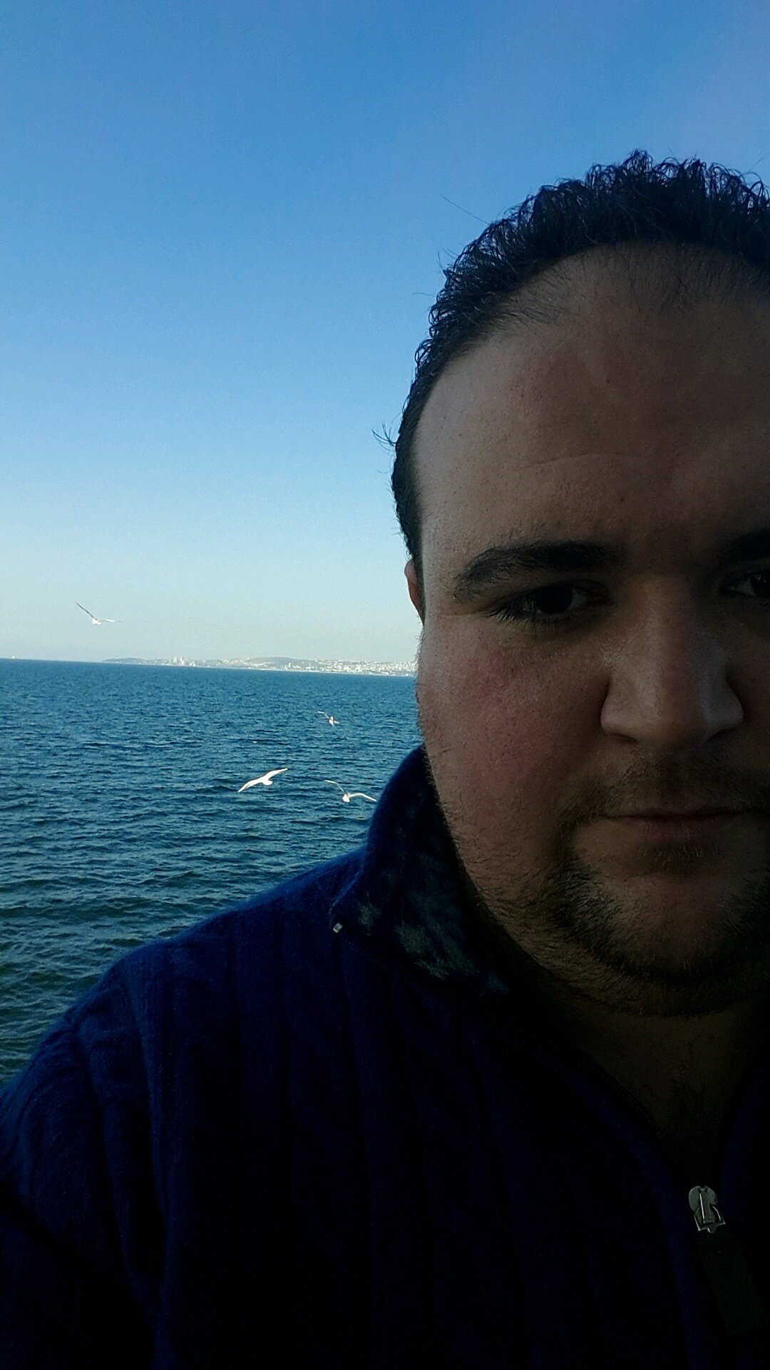 DAL 7tepe