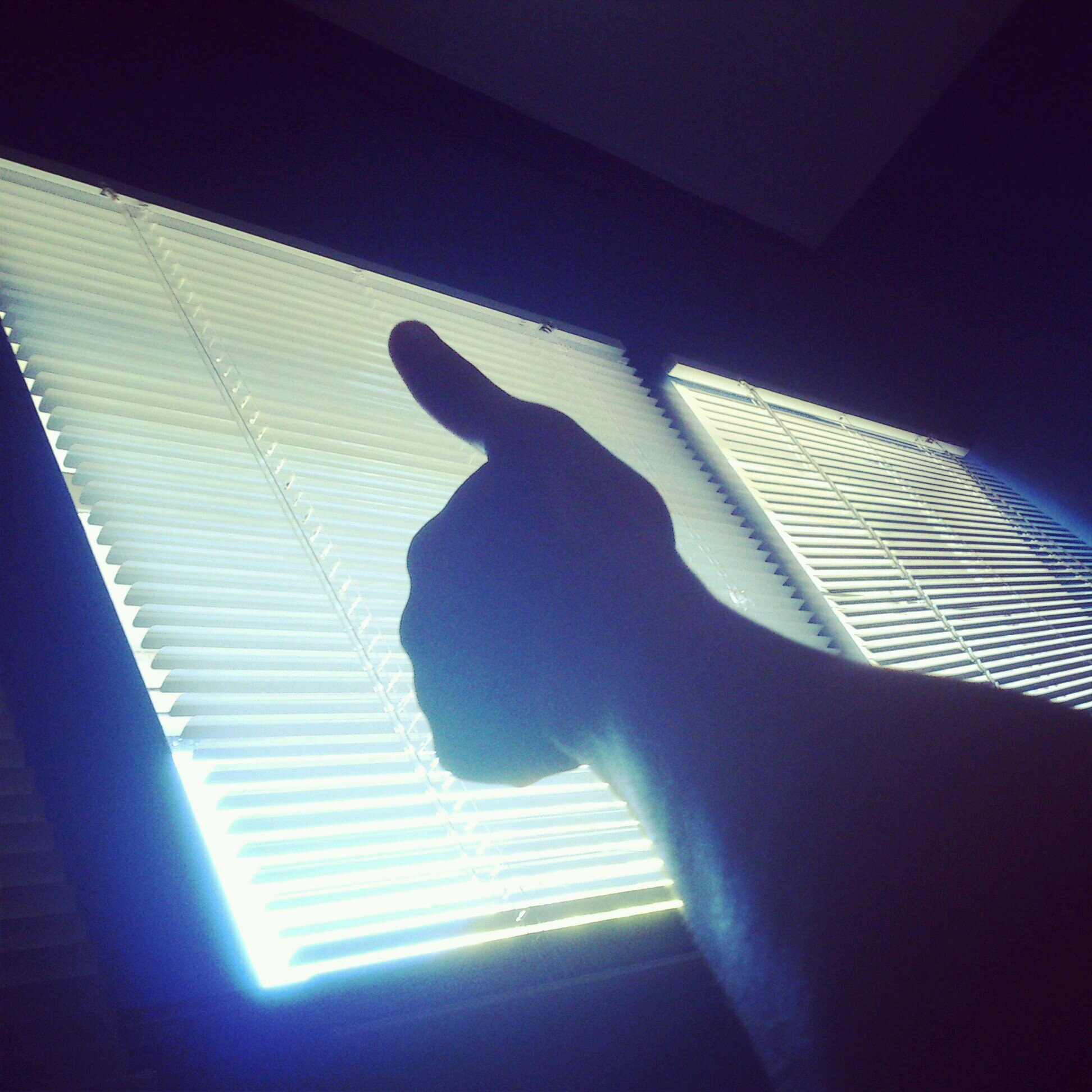 waldo_van's profile picture. ...