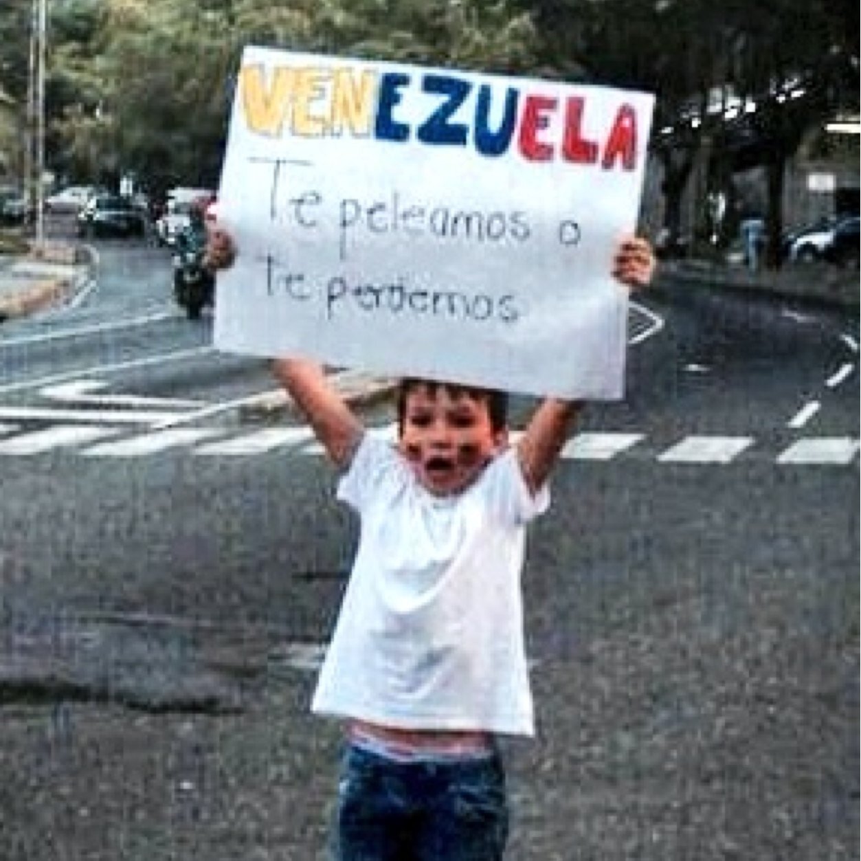 Rosanaat's profile picture. .....en construcción!