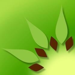 kiwiFoxProducts's profile picture. KiwiFox, a new line of all-natural beauty products, has been able to successfully incorporate the miraculous properties of the kiwi fruit into its line of earth