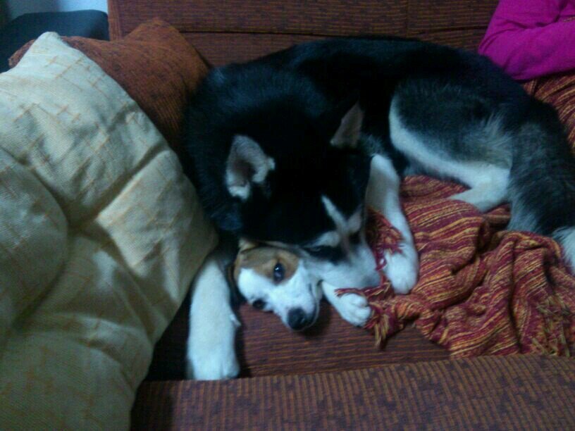 sandrytta90's profile picture. 