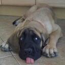 Patrick Peters - @southbaytoyota - Twitter