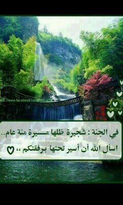 ••أحب الصالحين ولستُ منهملعلي أن أنالَ بهم شفاعةوأكرهُ من تجارته المعاصيولوكنا سواءً في البضاعة••