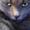 PrimRose - @RosePrimm44 - Twitter