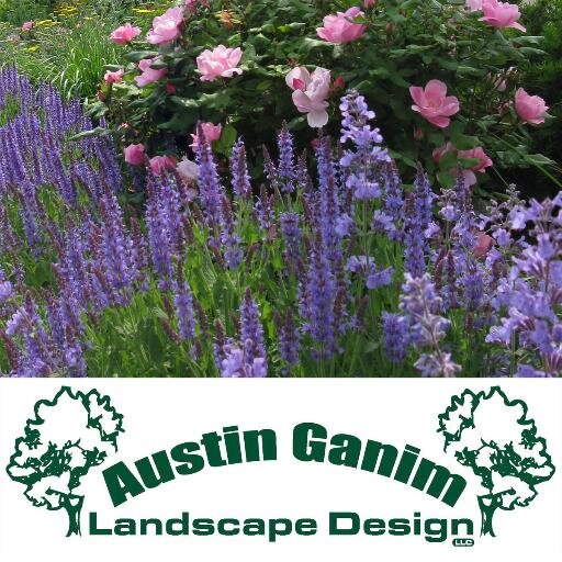 Austin Ganim Landscape Design provides design, installation, and maintenance services to residential and commercial properties of all shapes and sizes.