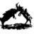 CashmereCountry's profile image
