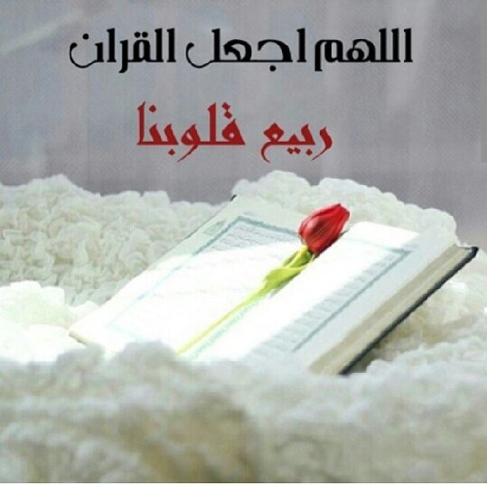 ‏‏‏‏‏اللهم أغفر لي والوالدي وأعفو عنا وعن جميع المسلمين والمسلمات والمؤمنين والمؤمنات الأحياء منهم والأموات