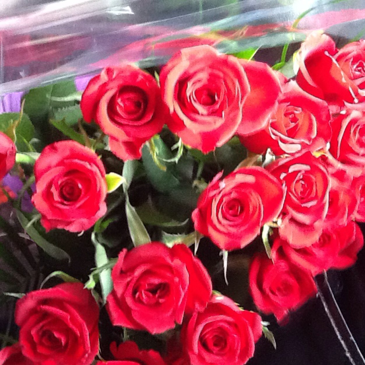 LONDON4575's profile picture. 一期一会を大切にしたい。32姫に逢いに行きたいな！32LOVE^^