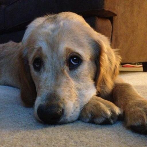 Brix_McCready's profile picture. McCready's Hearth & Home