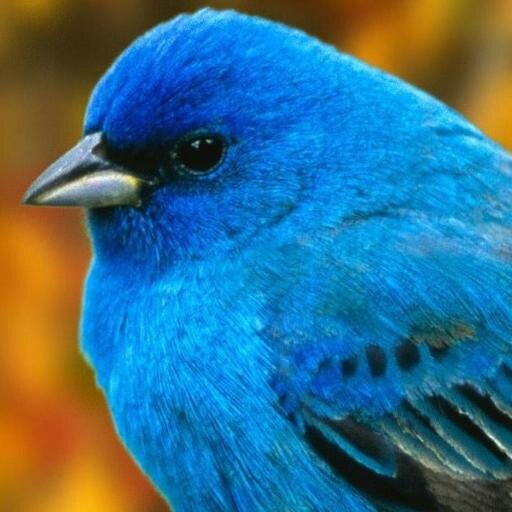 bethtrejo's profile picture. You can count on me!