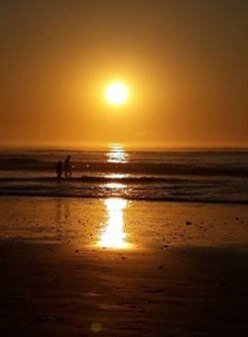 Tash_Cook's profile picture. 