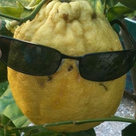 DenTelezhkin's profile picture. iOS developer. Architectural astronaut.