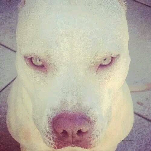 AbdielRh93's profile picture. 