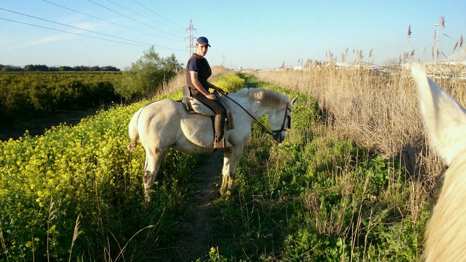 cazador y pescador  desde que tengo consiencia (silvestrista , palomero y el mundo de los caballos )