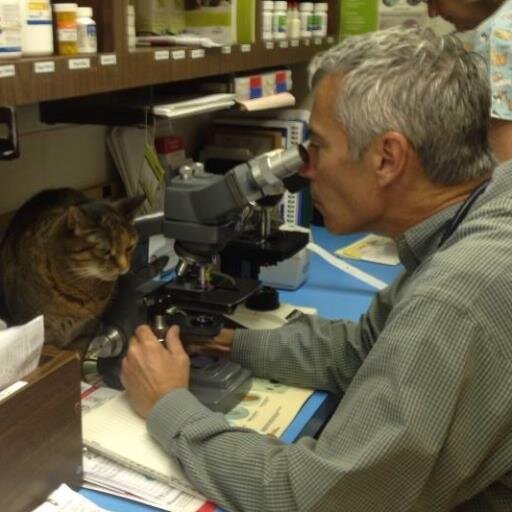 North Hills Veterinary Hospital in Rochester Hills, MI