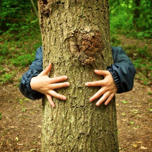 Wisdom begins with wonder - Socrates
#ForestSchool #OutdoorEd #WildPlay #HamCommonWoods