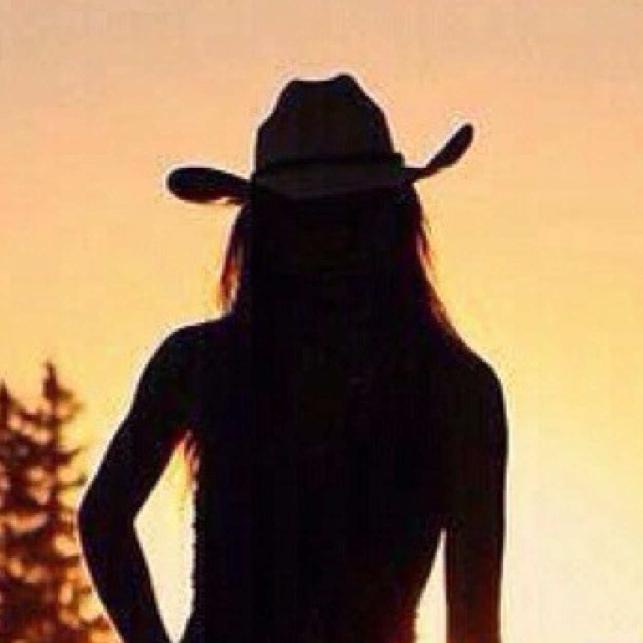 Southern belle raised in the South. Proud of my southern accent and where I come from. I like hunting, fishing, drinking some good ole Budlight and backroading.