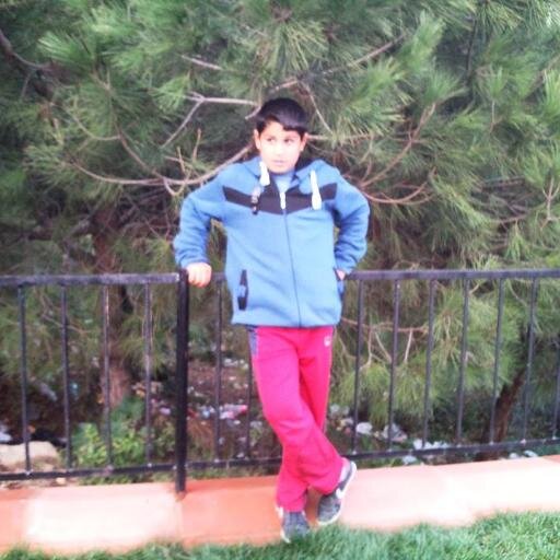 Seni seviyorum