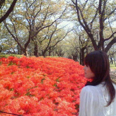 まりもん