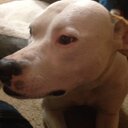 amanda jo pierce - @roxjmcroo2011 - Twitter