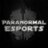 pL_Esports's profile image