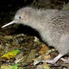 Over_'s profile picture. 