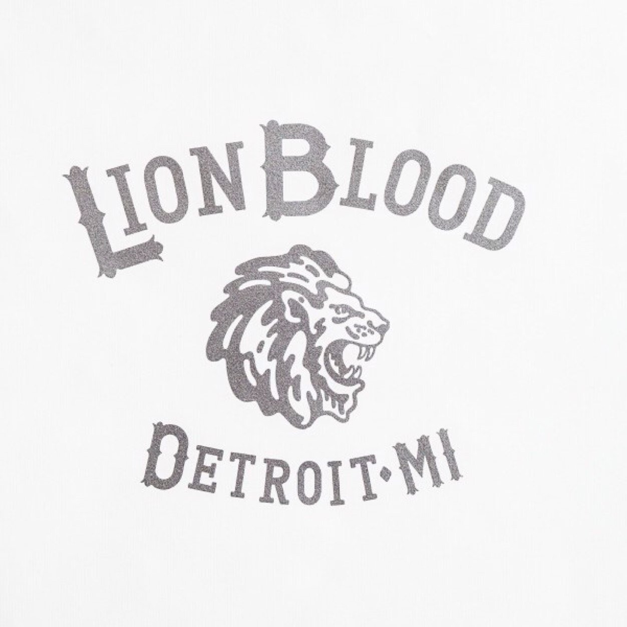 Lions, Tigers, Pistons, UofM, Manchester City