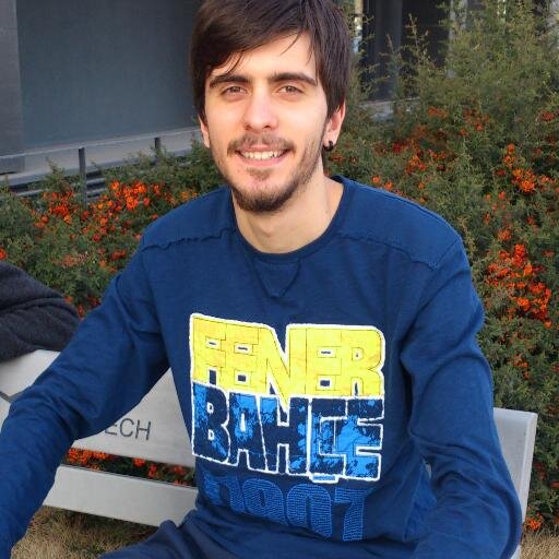 Game Developer